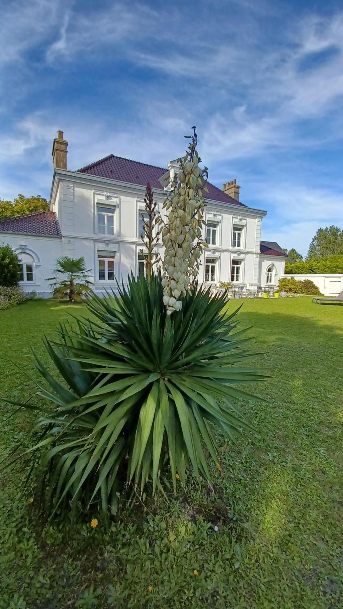 Bed and Breakfast La Carte Postale Oye-Plage Exterior foto